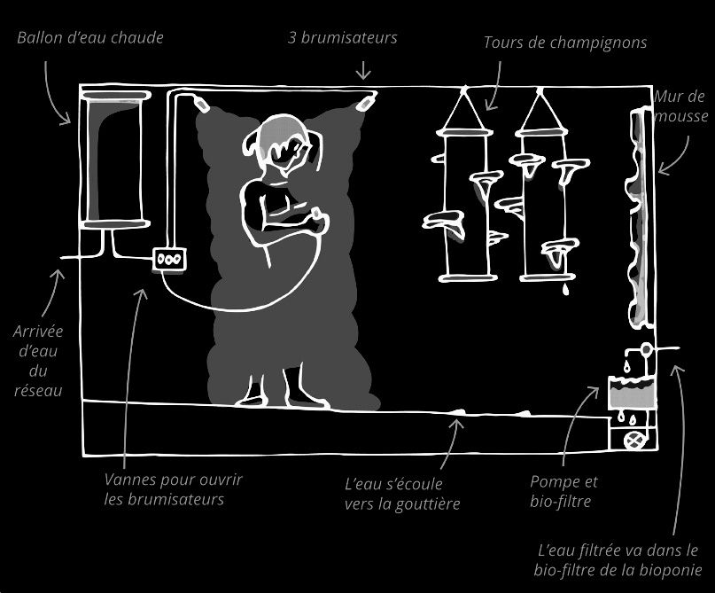 Douche champignonnière